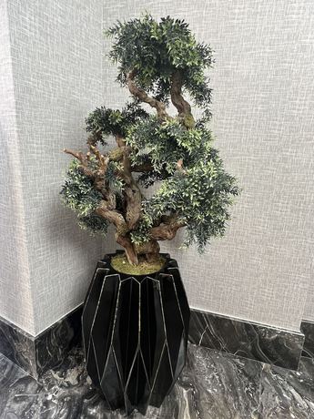 Imagen de los interiores del Hotel Brako. Foto 20