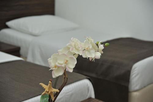 Imagen de la habitación del Hotel Branco. Foto 17