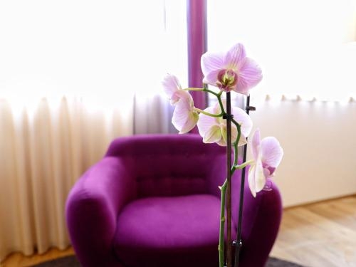 Imagen general del Hotel Brandmayerhof. Foto 9