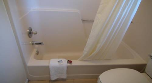 Imagen de la habitación del Hotel Brandon Motor Lodge. Foto 12