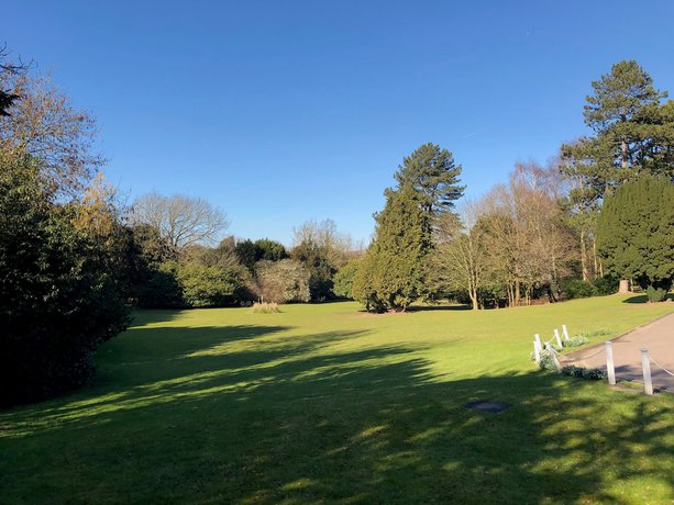 Imagen de la habitación del Hotel Brandshatch Place Hotel and Spa. Foto 16