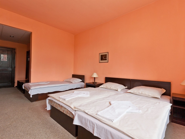 Imagen de la habitación del Hotel Branik. Foto 10