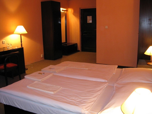 Imagen de la habitación del Hotel Branik. Foto 13