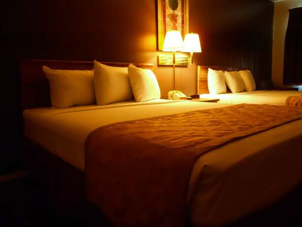Imagen general del Hotel Branson King Resort And Suites. Foto 7