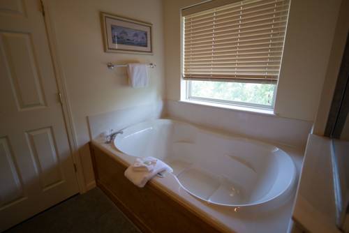 Imagen de la habitación del Hotel Branson Yacht Club. Foto 5