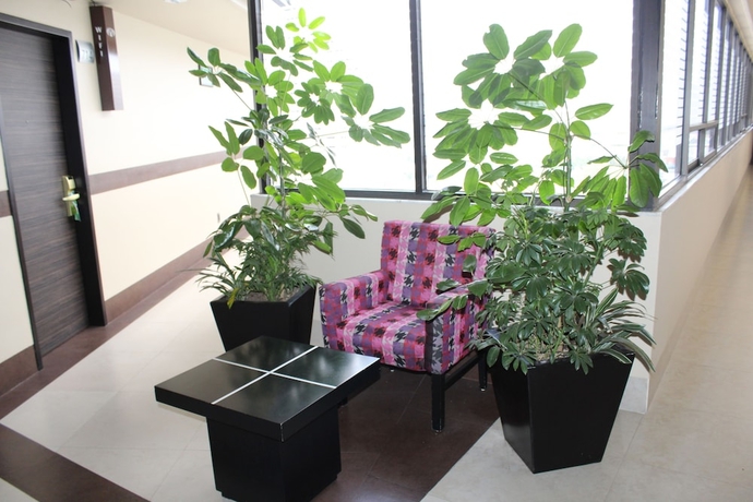 Imagen de los interiores del Hotel Brasilia, Ciudad de M&eacute;xico. Foto 19