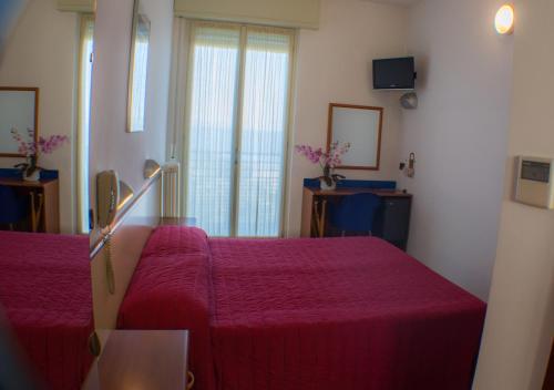 Imagen general del Hotel Brasilia, Lido di Savio. Foto 5