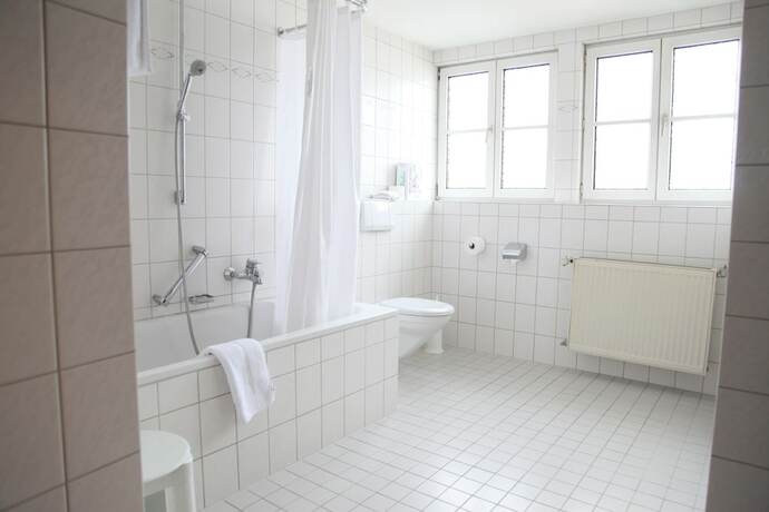 Imagen general del Hotel Brauereigasthof Buergerbraeu. Foto 10