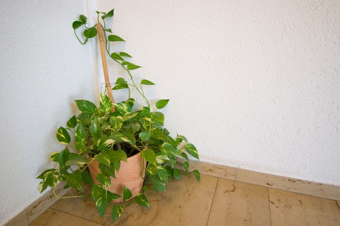 Imagen de los interiores del Hotel Braun. Foto 19