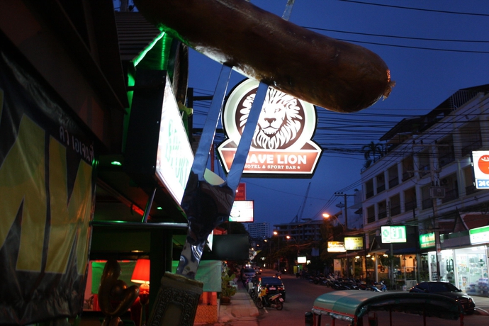 Imagen general del Hotel Brave Lion. Foto 5