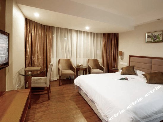 Imagen de la habitación del Hotel Bravo Business. Foto 5