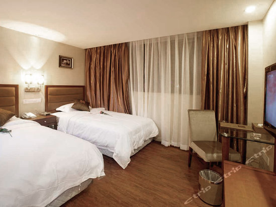 Imagen de la habitación del Hotel Bravo Business. Foto 6
