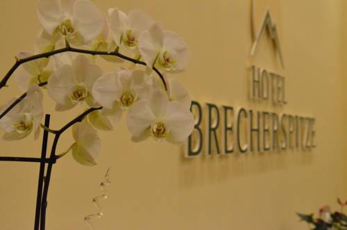 Imagen de la habitación del Hotel Brecherspitze. Foto 6