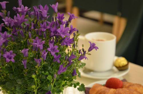 Imagen de la habitación del Hotel Brecherspitze. Foto 12