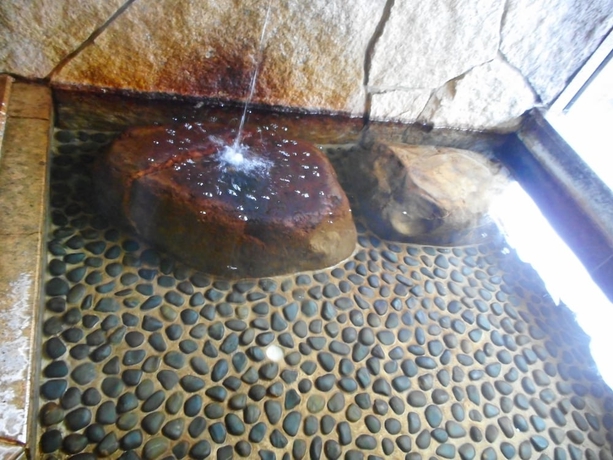 Imagen de la piscina del Hotel Breezbay Lake Resort Kawaguchiko. Foto 12