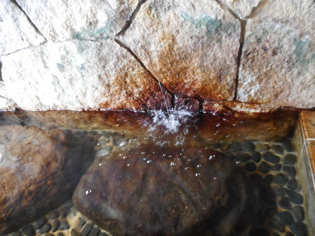 Imagen de la piscina del Hotel Breezbay Lake Resort Kawaguchiko. Foto 13