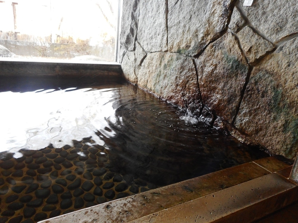 Imagen de la piscina del Hotel Breezbay Lake Resort Kawaguchiko. Foto 19