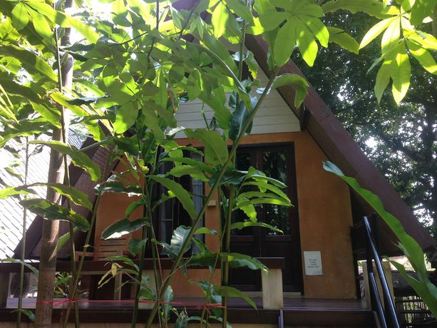 Imagen de la habitación del Hotel Breeze of Pai Guesthouse. Foto 12
