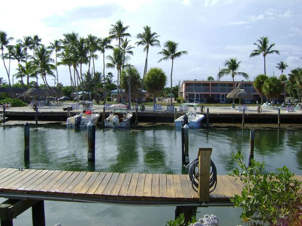 Imagen de los exteriores del Hotel Breezy Palms Resort. Foto 6