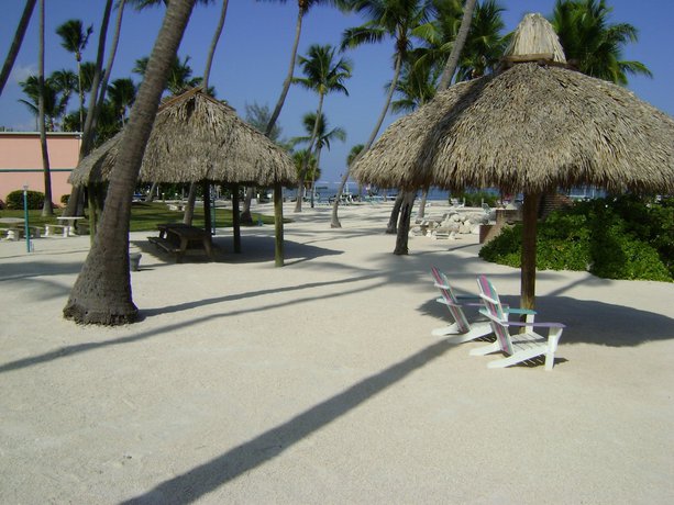 Imagen de los exteriores del Hotel Breezy Palms Resort. Foto 7