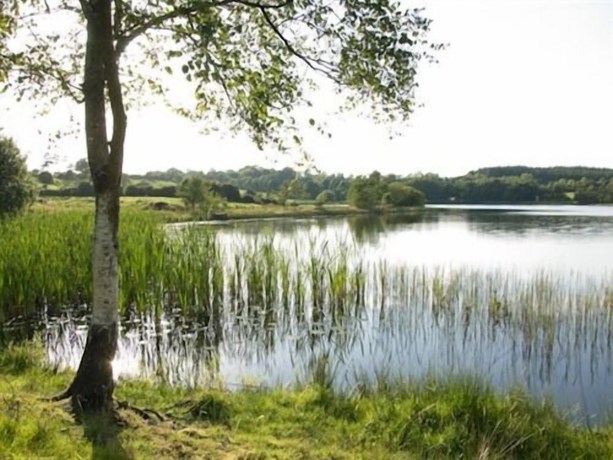 Imagen general del Hotel Breffni Arms. Foto 5