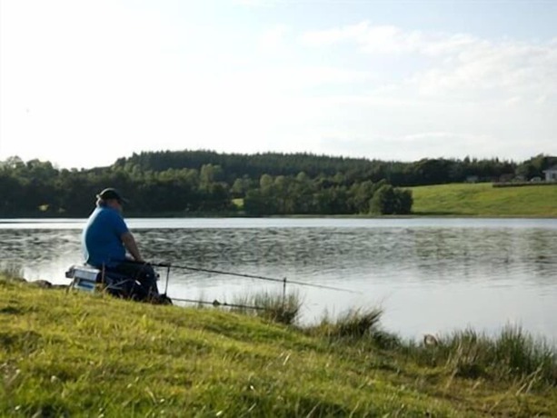 Imagen general del Hotel Breffni Arms. Foto 9