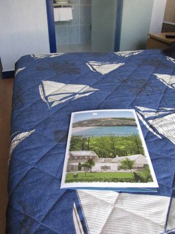 Imagen de la habitación del Hotel Breizh. Foto 8