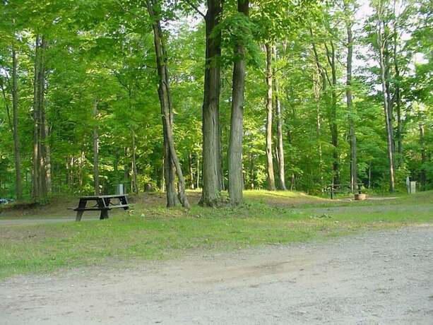 Imagen general del Hotel Brennan Beach RV Resort - Caravan Park. Foto 20