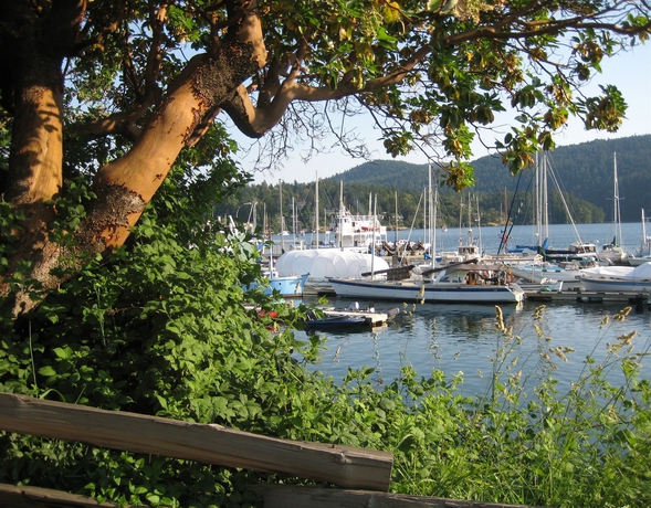 Imagen general del Hotel Brentwood Bay Resort and Spa. Foto 2