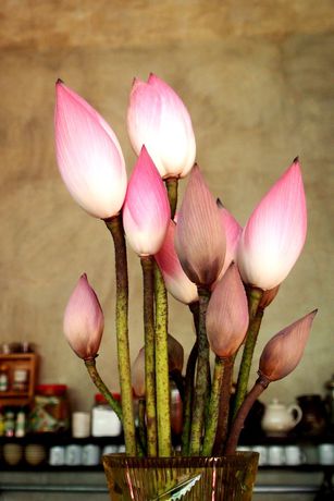 Imagen de la habitación del Hotel Bric-à-Brac. Foto 16