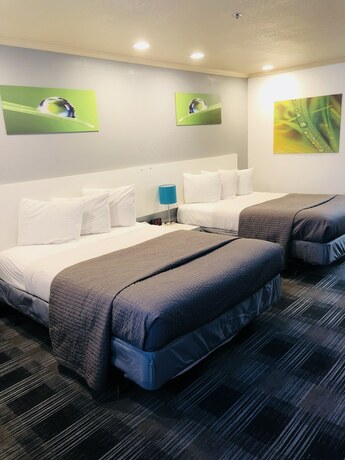 Imagen de la habitación del Hotel BridgePoint Inn Daly City. Foto 19