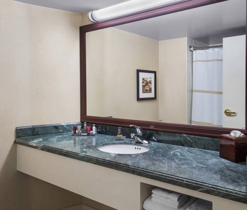 Imagen de la habitación del Hotel Bridgewater Marriott. Foto 2