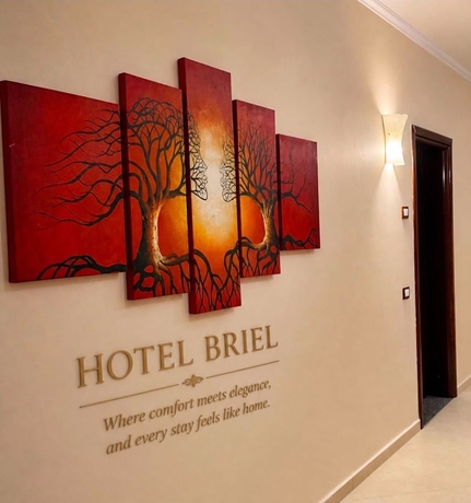 Imagen de los interiores del Hotel Briel. Foto 13