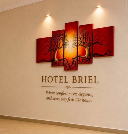 Imagen de los interiores del Hotel Briel. Foto 15