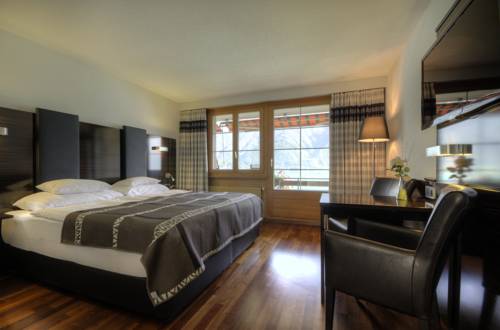 Imagen de la habitación del Hotel Brienzersee. Foto 11