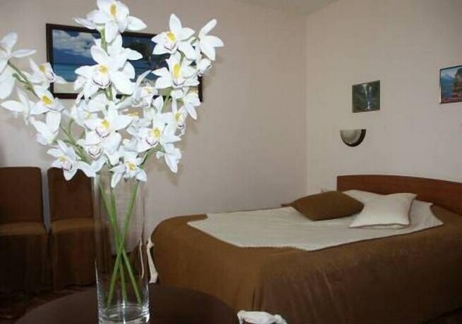 Imagen de la habitación del Hotel Brigantina, Mosc&uacute;. Foto 27