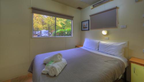 Imagen de la habitación del Hotel Bright Caravan Park formerly Bright Pine Valley Tourist Park. Foto 9