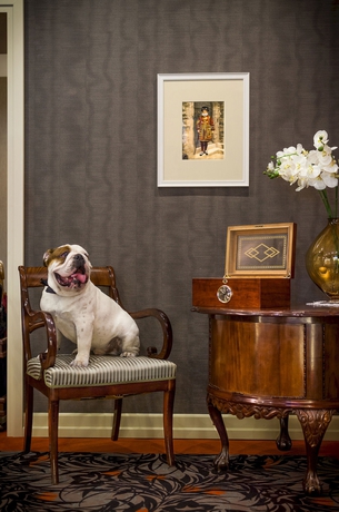 Imagen de los interiores del Hotel Brighton, Moscú. Foto 13