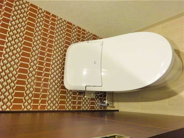 Imagen de la habitación del Hotel Brilio Asakusabashi. Foto 14