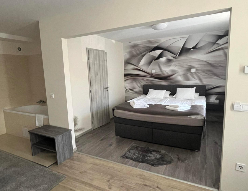 Imagen general del Hotel Brill B&eacute;k&eacute;scsaba. Foto 7