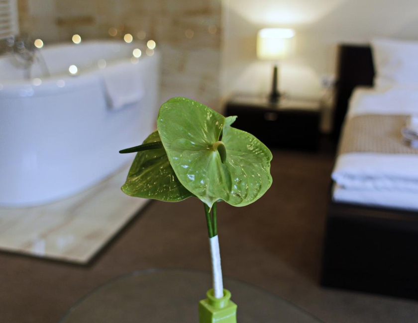 Imagen general del Hotel Brill Orosh&aacute;za. Foto 14