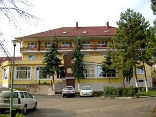 Imagen general del Hotel Brilliant Meseș. Foto 3