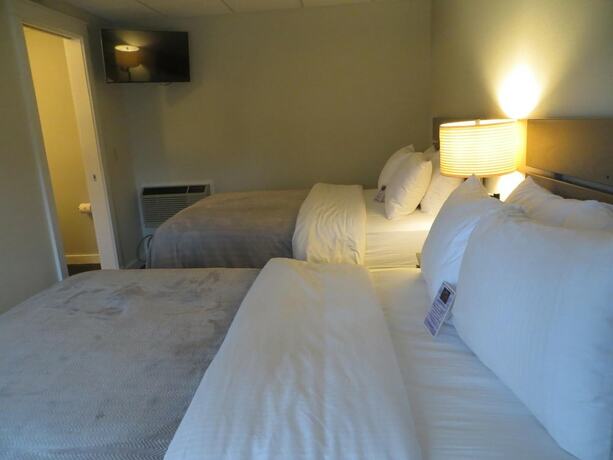 Imagen general del Hotel Brio Beach Inn. Foto 1