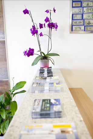 Imagen general del Hotel Brisa Del Mar. Foto 2