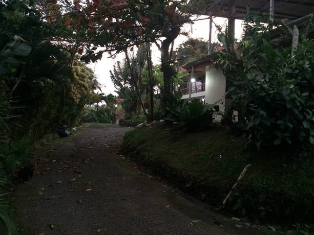 Imagen general del Hotel Brisas Del Volc&aacute;n Platanar. Foto 7