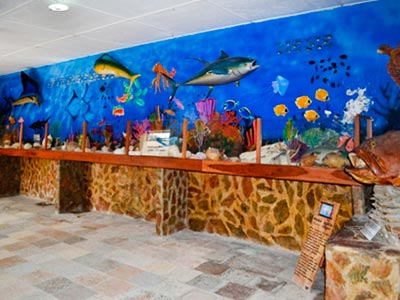 Imagen general del Hotel Brisas Marinas. Foto 6