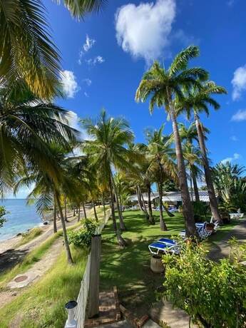 Imagen general del Hotel Brise Marine. Foto 8