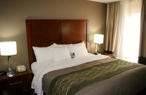 Imagen de la habitación del Hotel Bristol Arcadia Inn. Foto 4