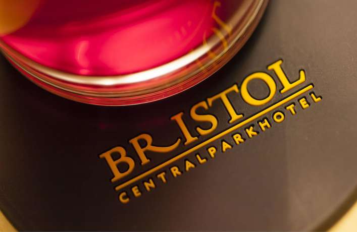 Imagen de la habitación del Hotel Bristol Central Park. Foto 6