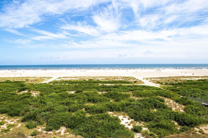 Imagen de los exteriores del Hotel Bristol Plaza Resort Motel. Foto 17